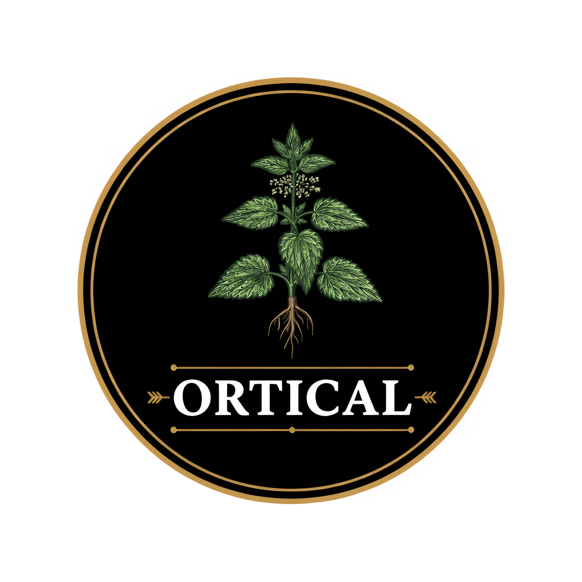 OrticalProductos